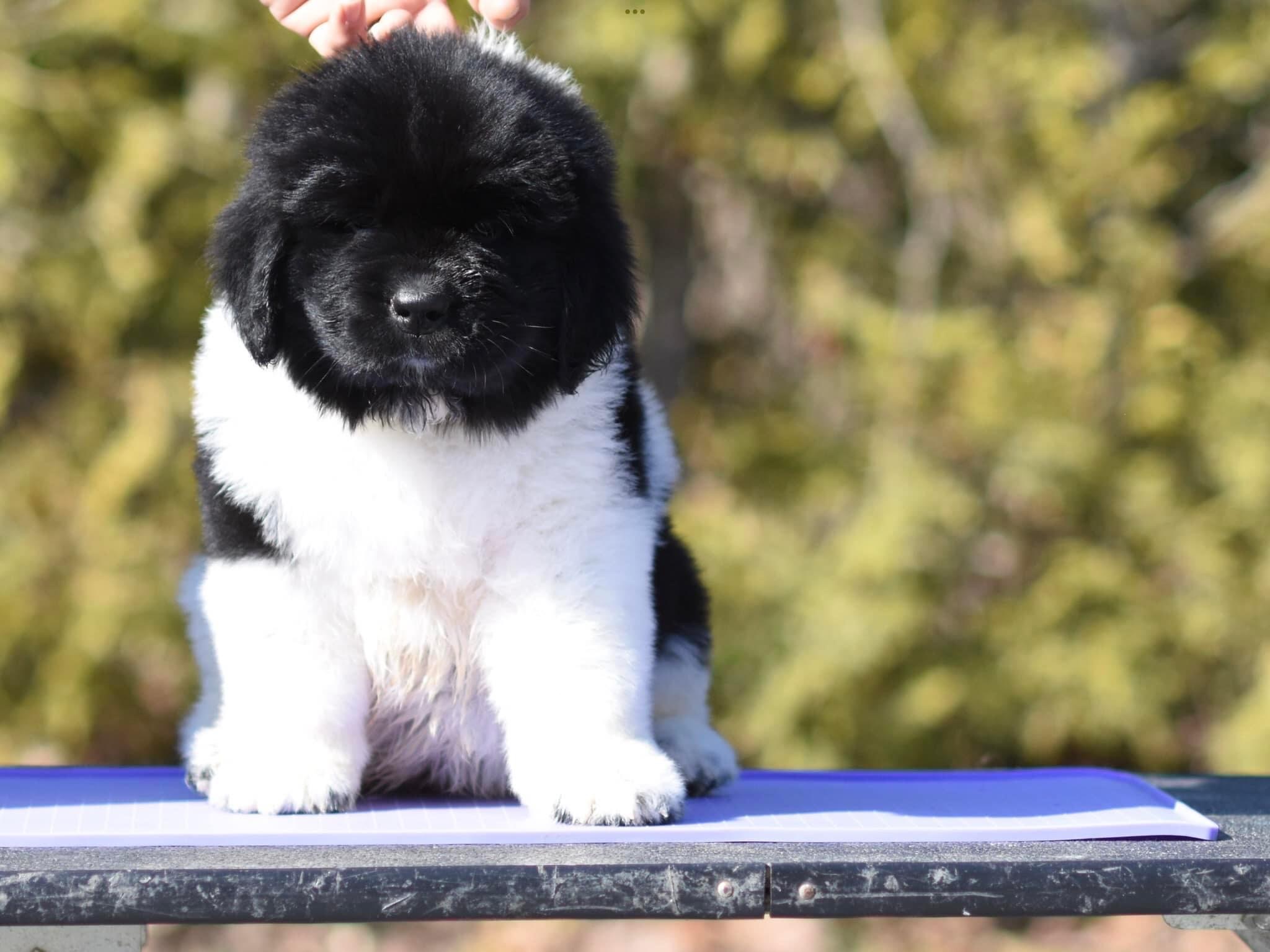 33D0C264-F354-4870-A942-7D93065E364E