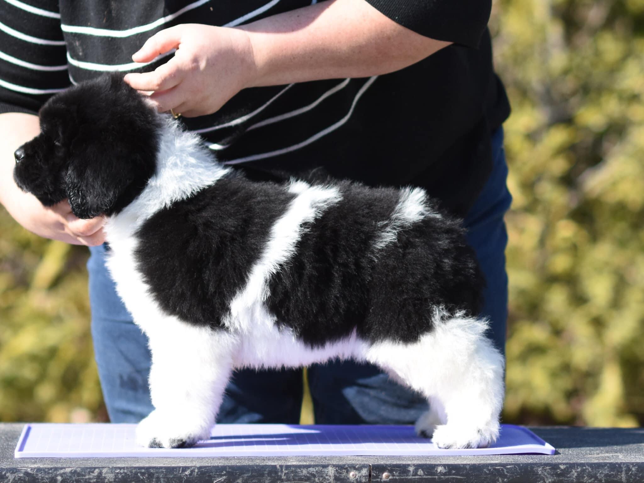 48D484F8-755F-4CB2-9DC4-C9BBB1B07B40