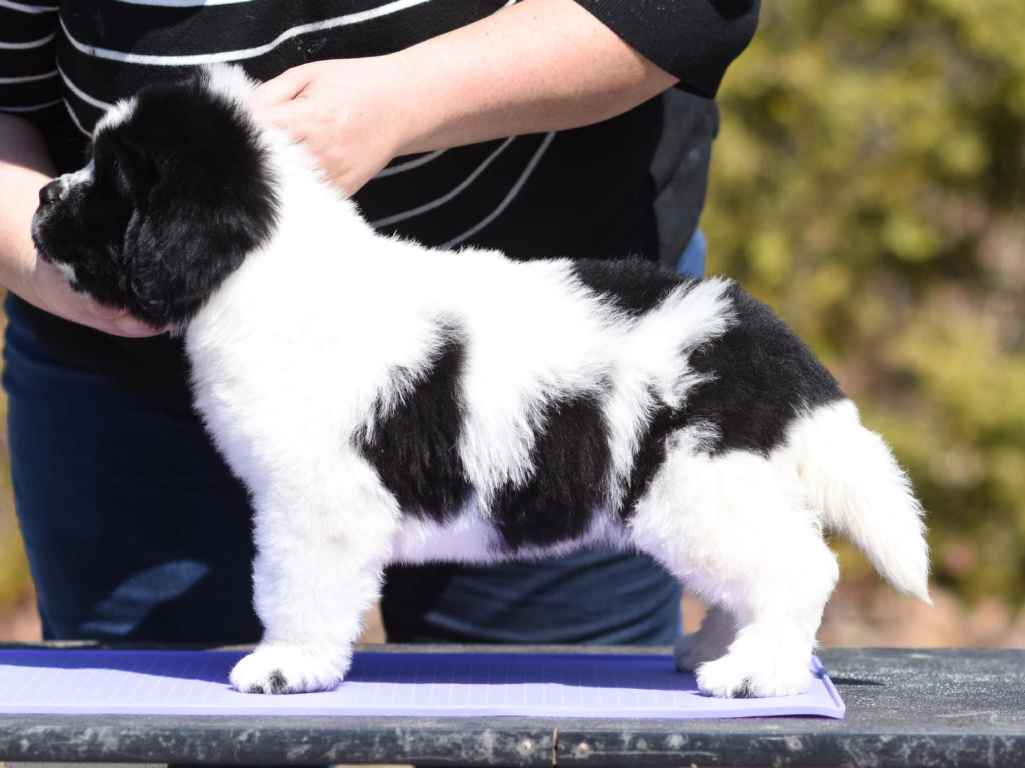 506800A5-88B2-4B63-A489-0644303E55CB