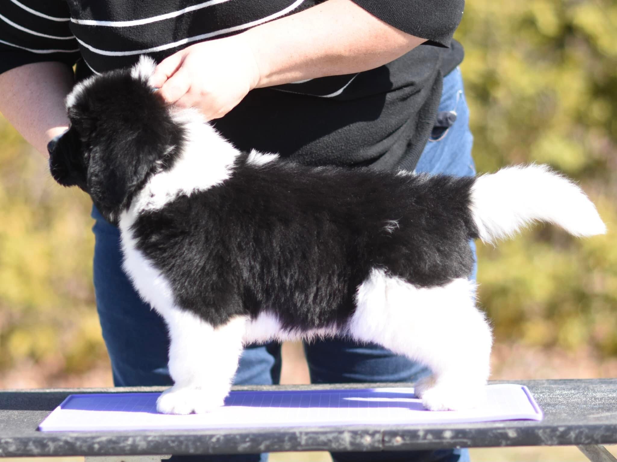 51D39F92-5827-49A6-85A1-935CC9261B7F