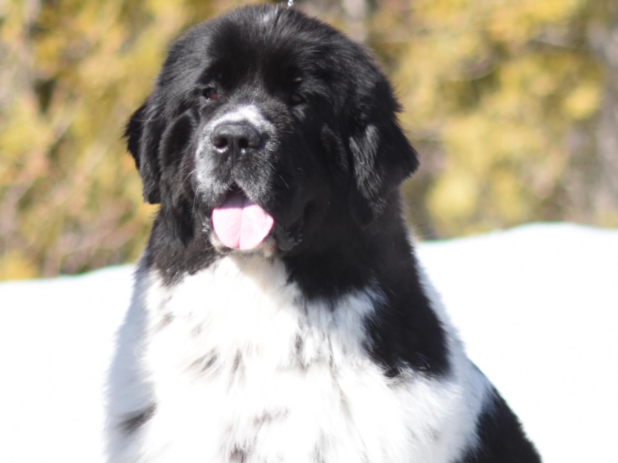 526EFFD5-2015-408E-B62B-F6DF31CDAA94