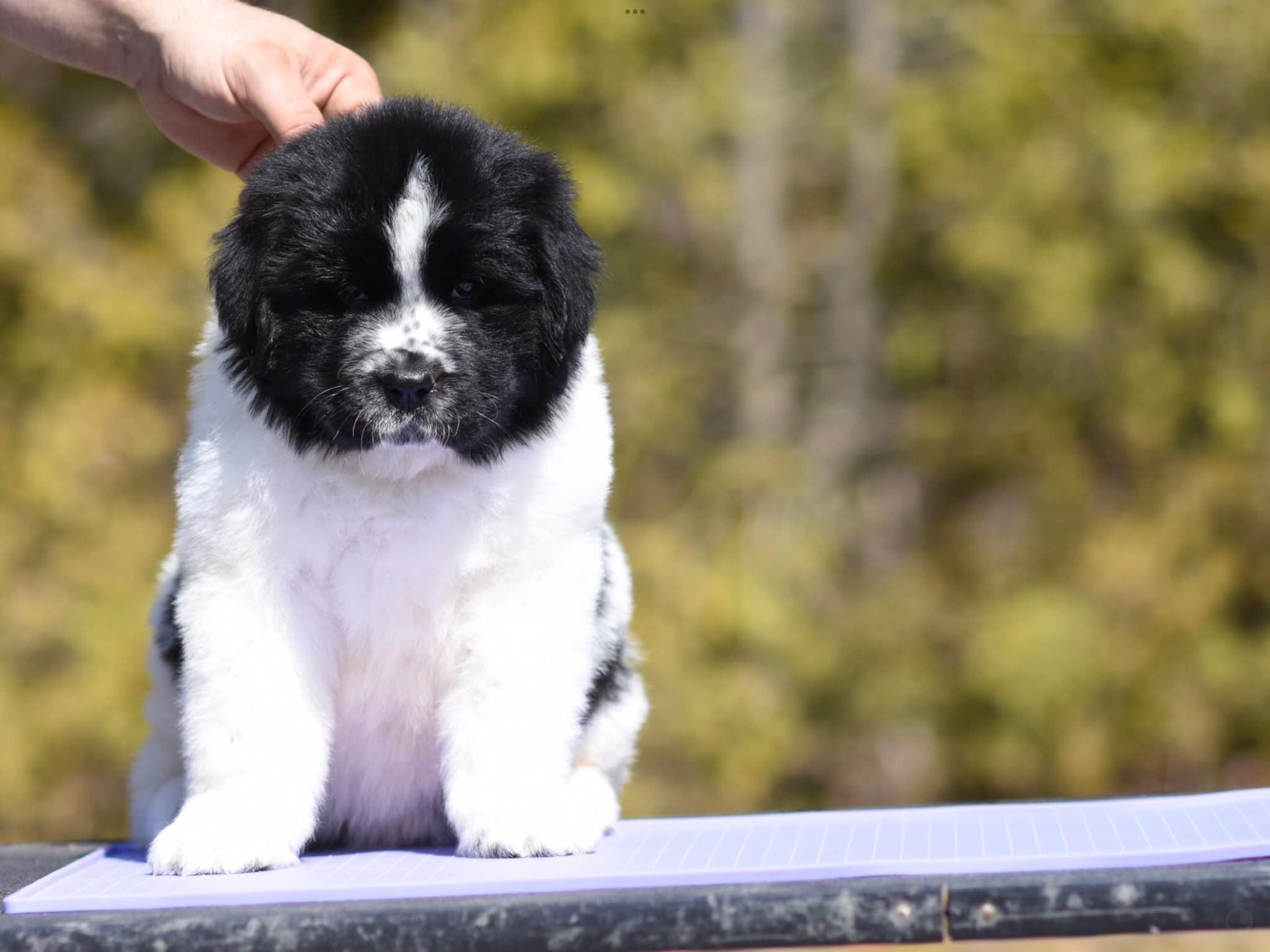 53FBA184-F1E1-4754-8044-6DBBBB73FD32