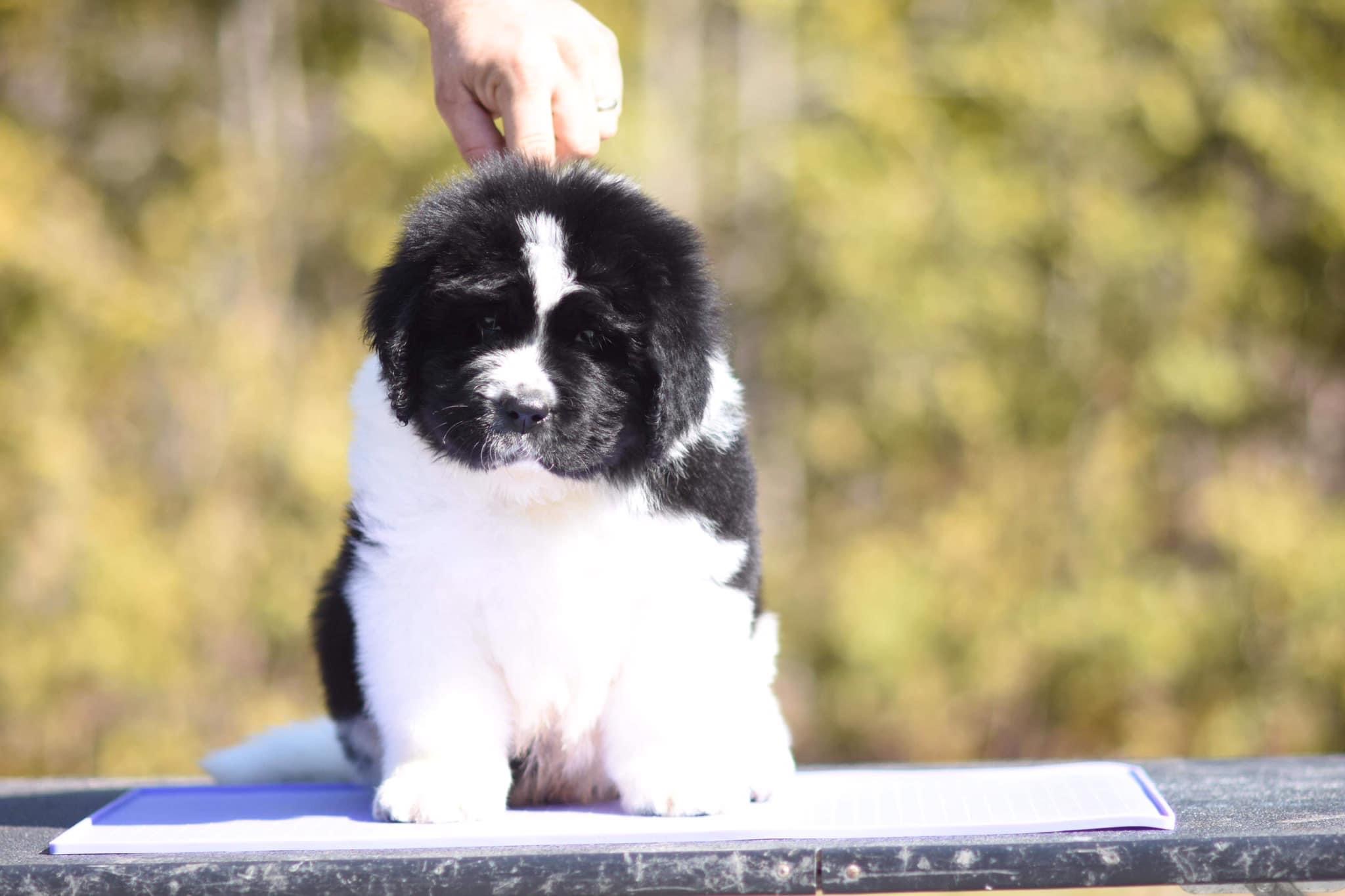 7A95A05F-C2ED-4AAA-8A24-D38AE0C8F708