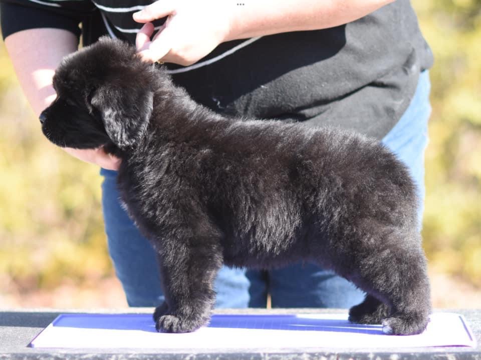 8F938B14-ECD8-431B-A703-44AF8848403D