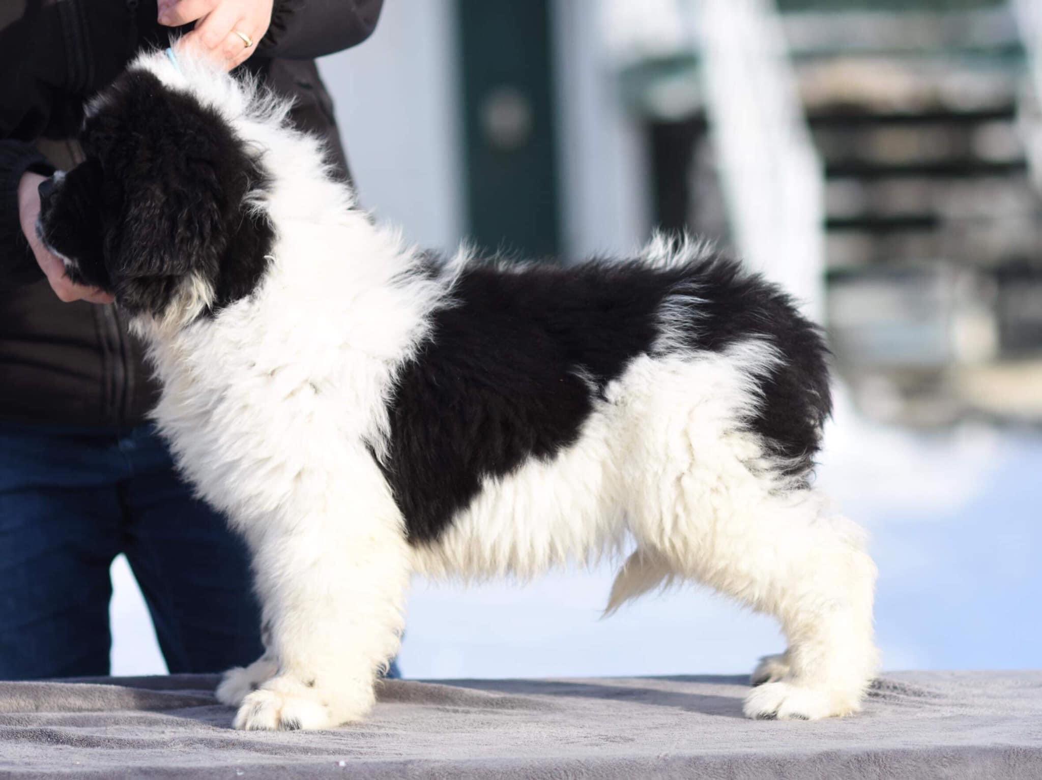 968959C4-B2BB-4BCB-A52E-D5BD1DDC0066