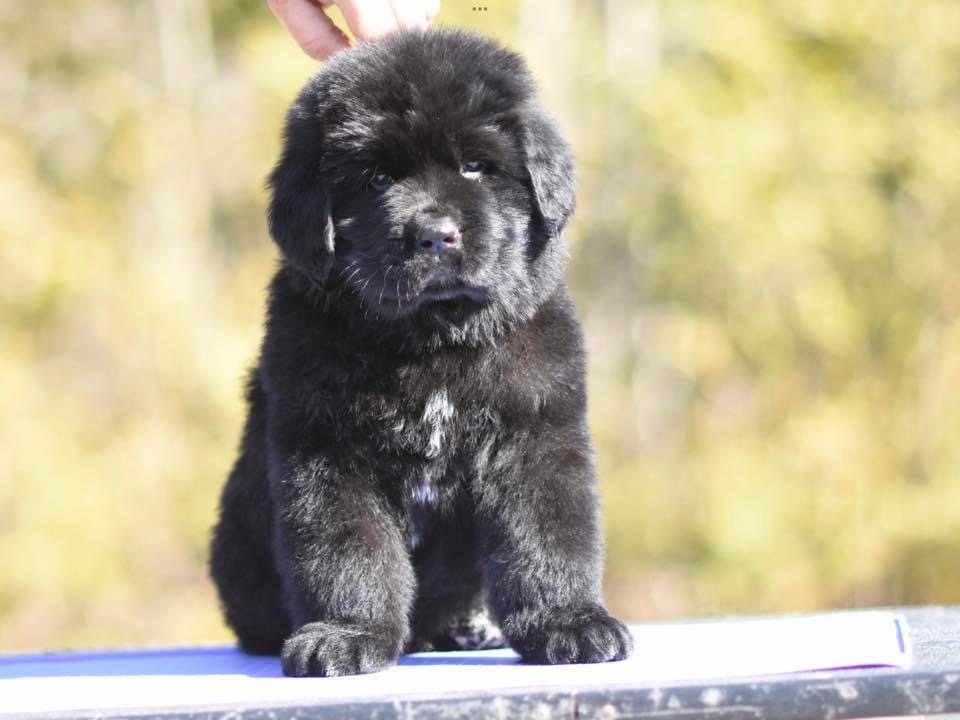 99C1D072-E3A8-4C45-B771-56D5A81D45AA