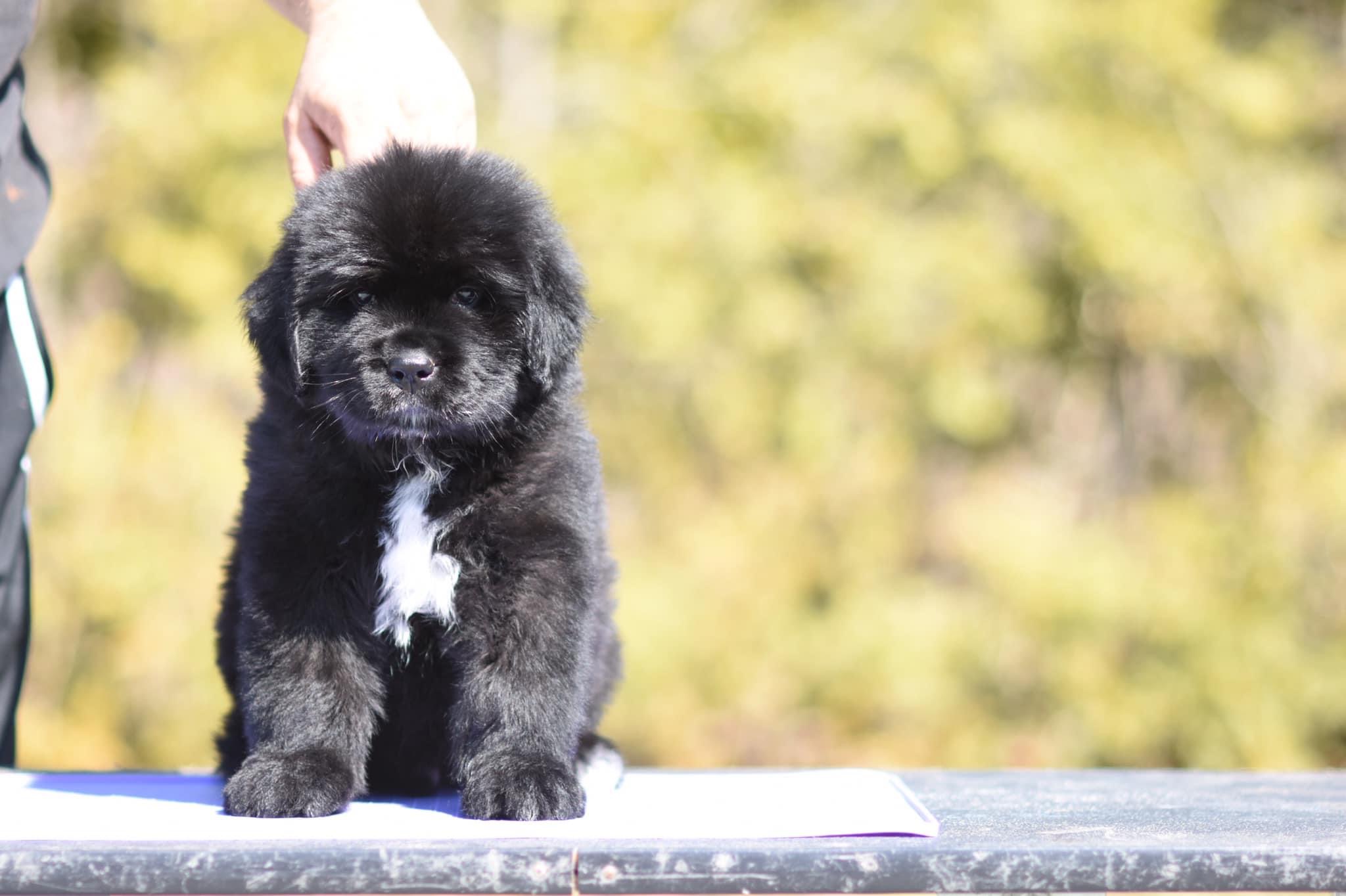 9B71C030-846E-4B57-8491-E28EFF515E98