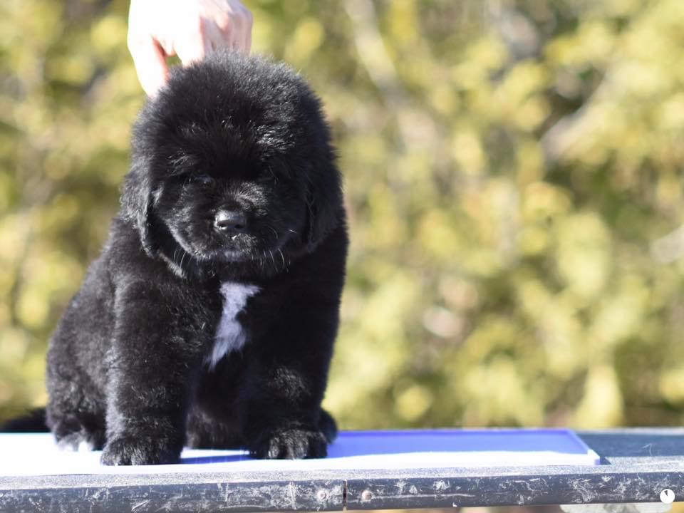 A1643A36-26DF-416E-BD22-10D81F2AFE45