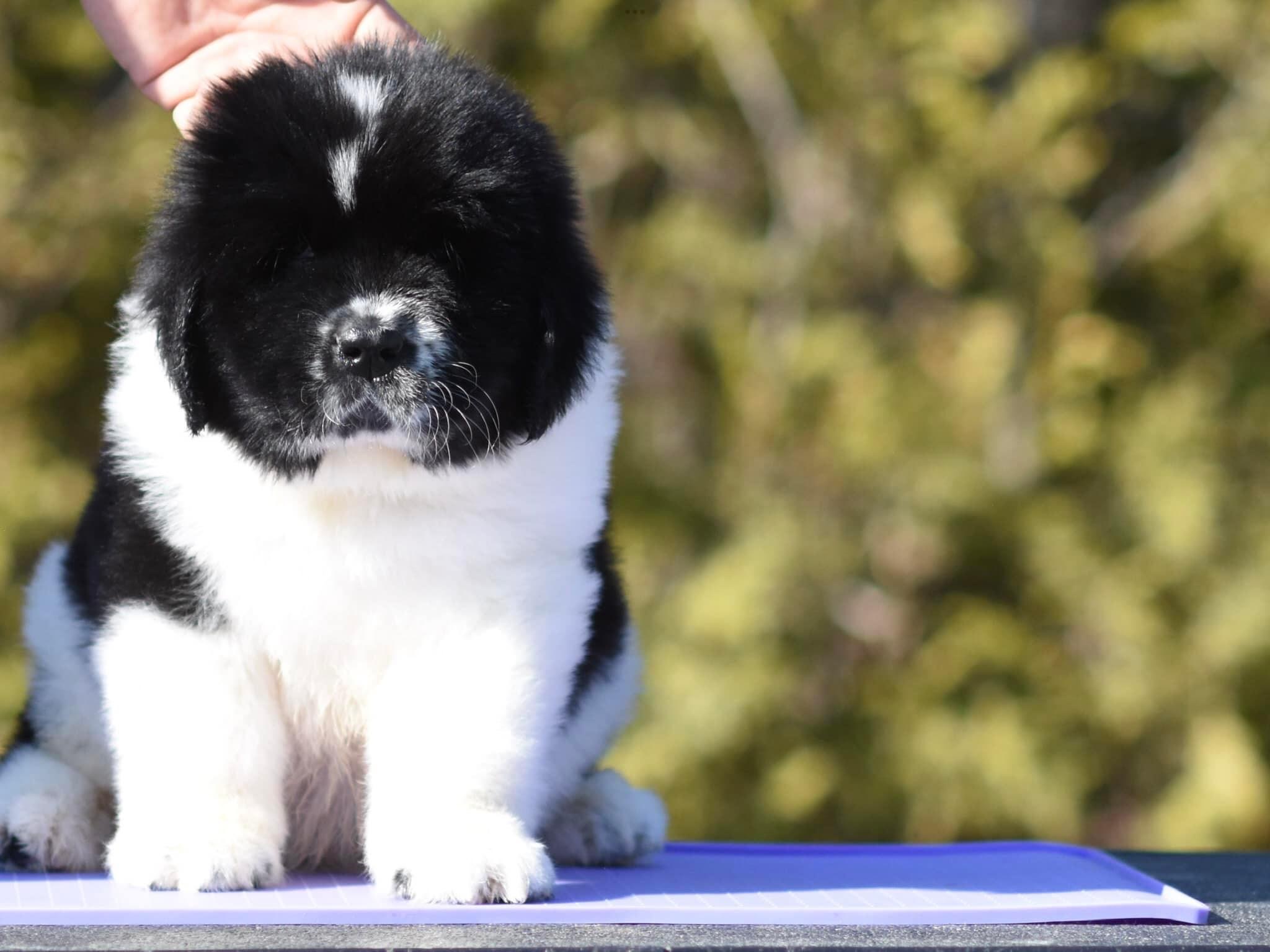 A5FE5036-4621-4304-A1A0-DAFFD890D7AB