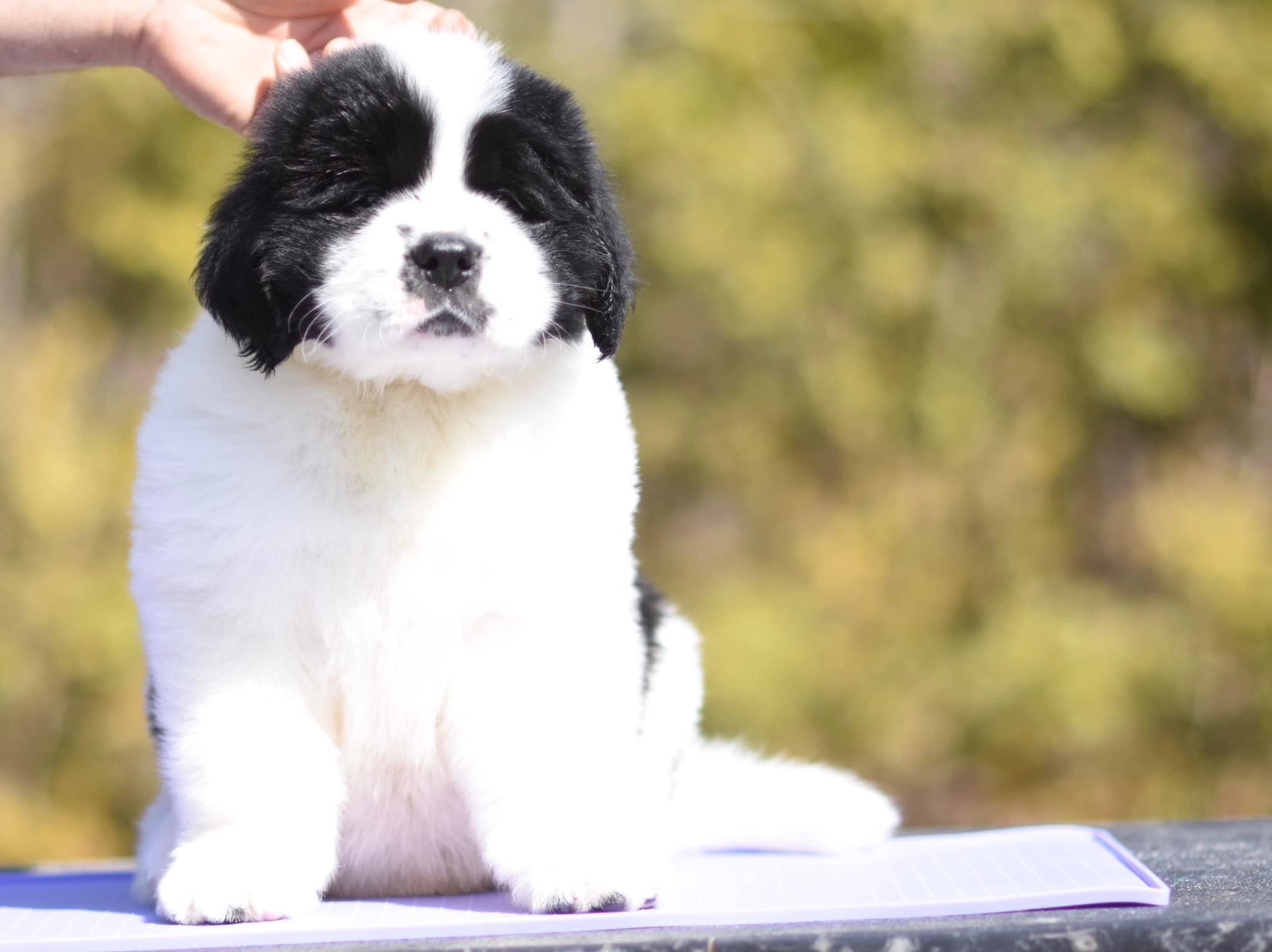 B1A39298-32D6-46BF-91FD-AE8C75013AB7