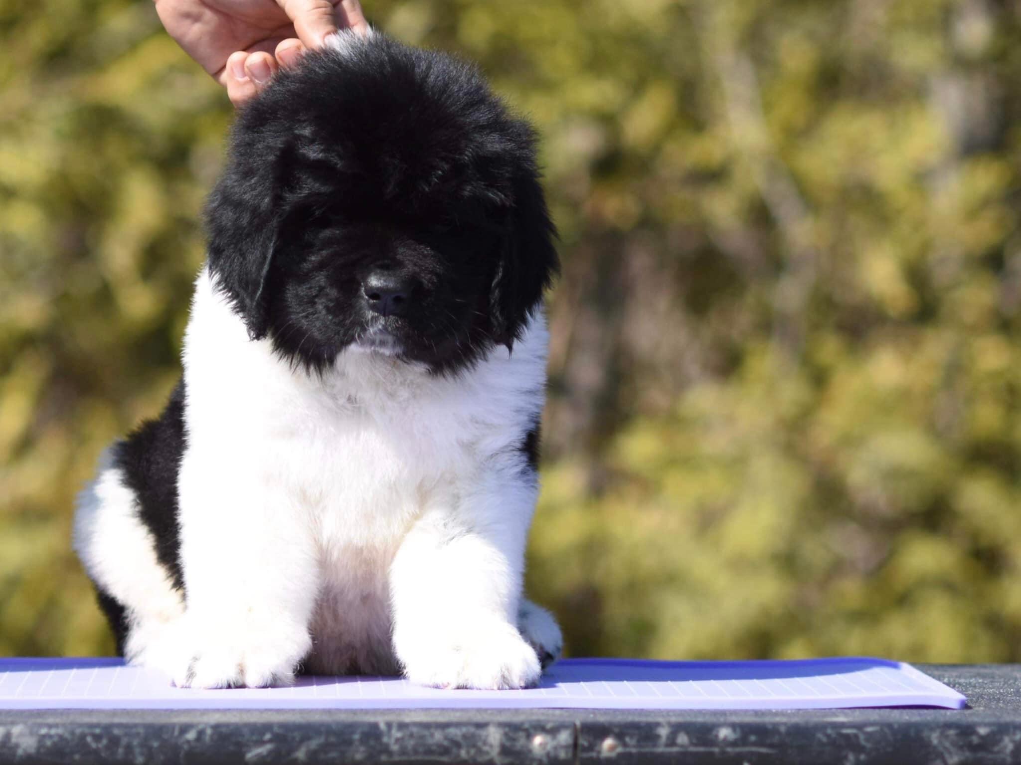 CCB9FB18-6E7D-4010-AF0C-19B12CB1E6B5