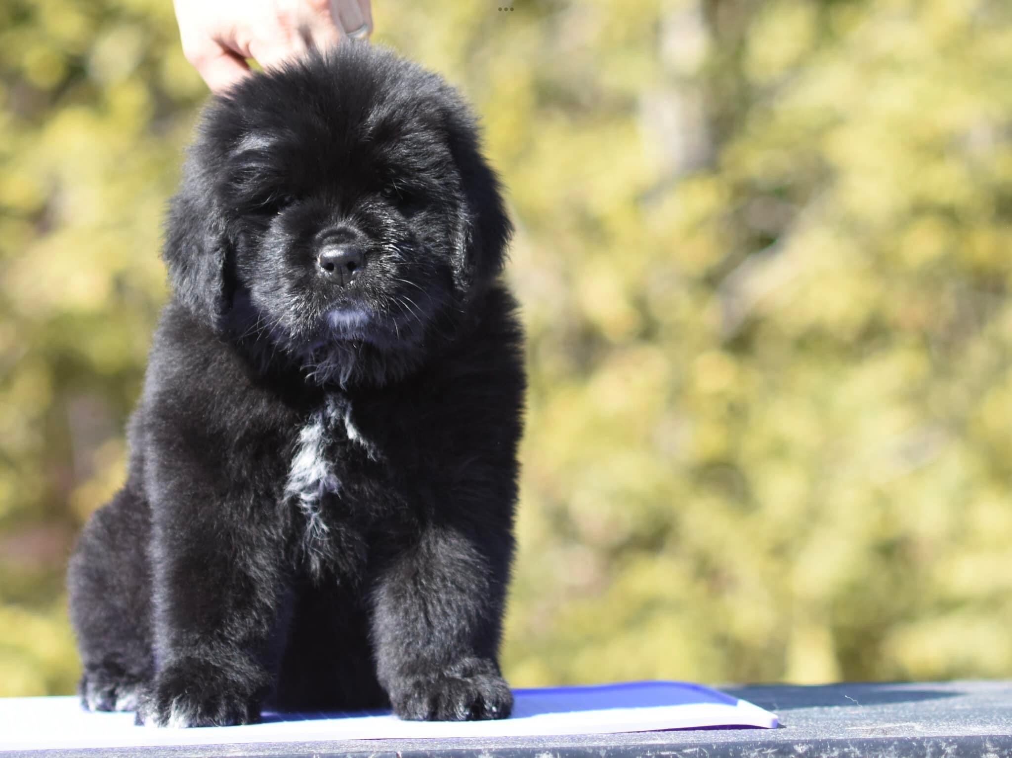 E1600DA3-541C-4D10-8890-C9985AD032CB