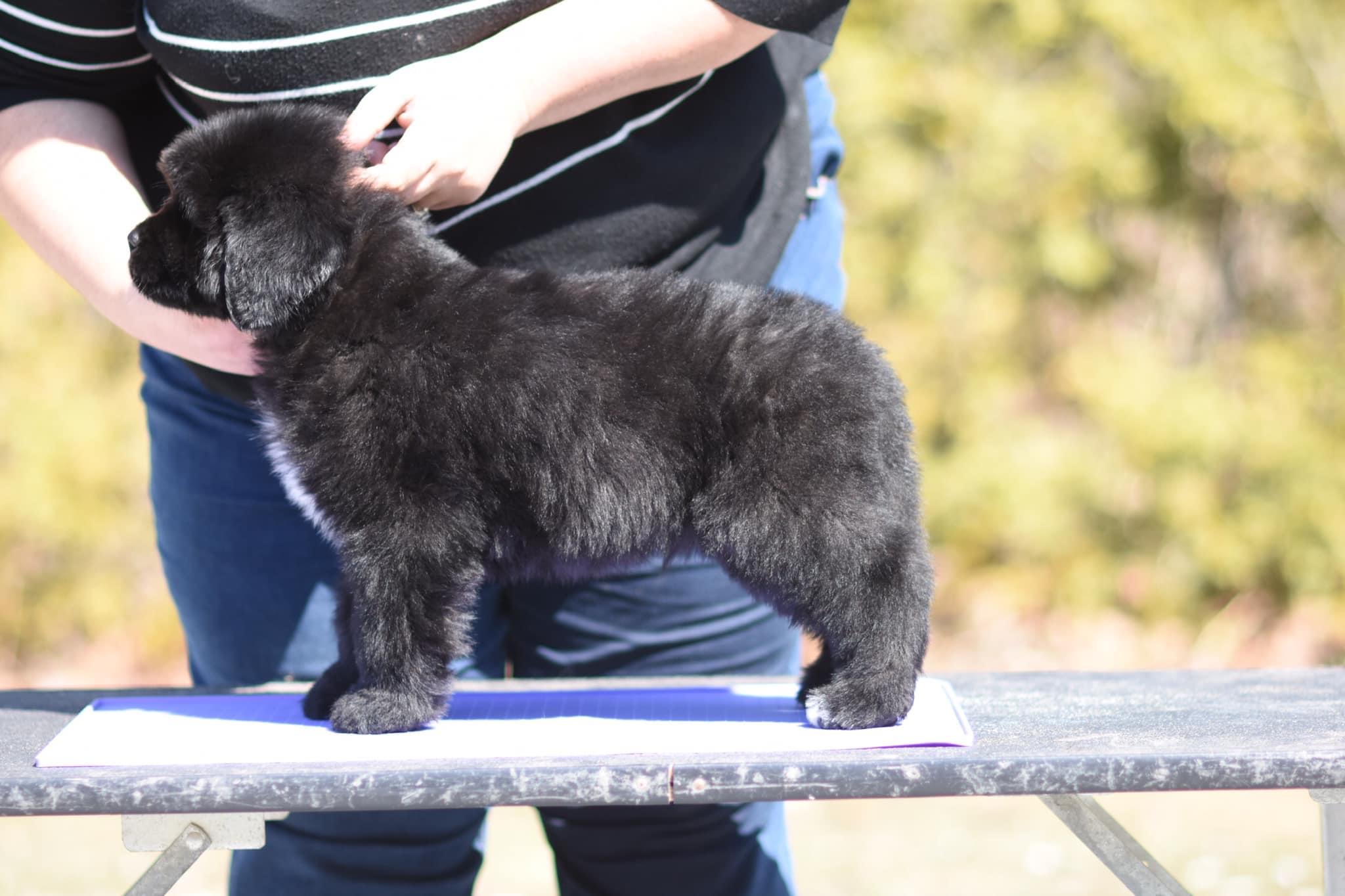 F9F6E425-DA8D-41C5-92C1-22C842E2FC83