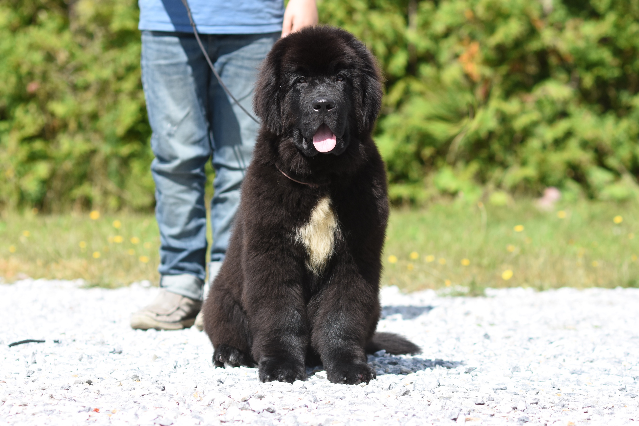 136EC41B-D1C8-4FDA-9906-CB52D9334D74