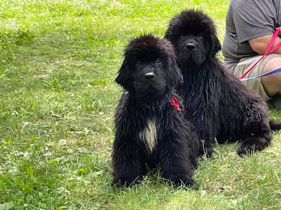 922D6521-46BC-4315-9B62-FD2785767EB8