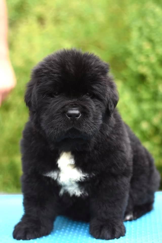 9ADDD64A-D24F-40A9-AA00-008DBE1A1E54