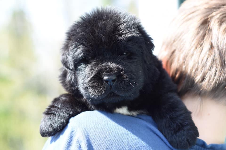 BE2A35BE-ED5B-4C89-9A12-662A03465F7B