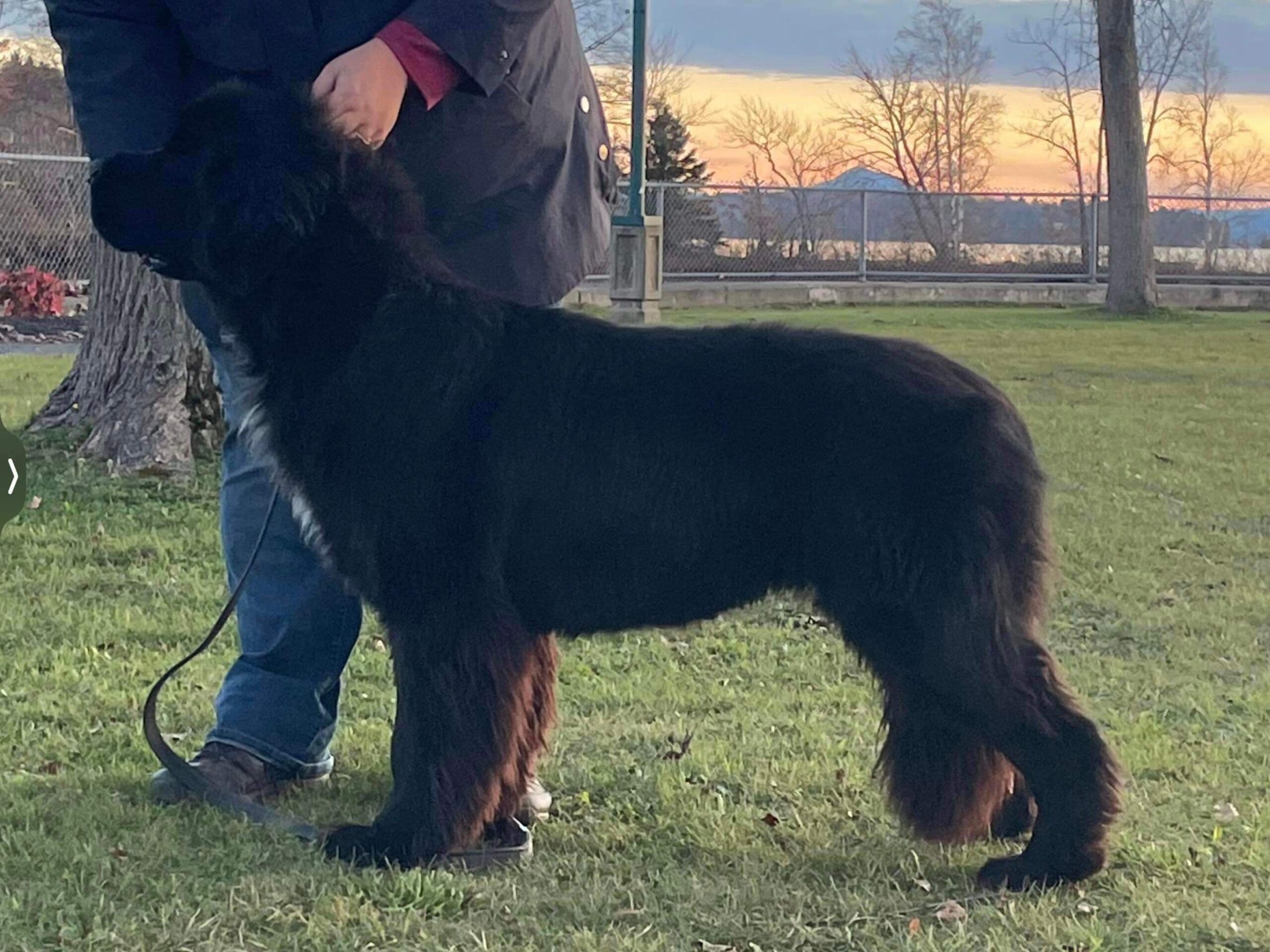 E1D1D4CA-EAF3-427B-ADDF-52A8DA9DB05E