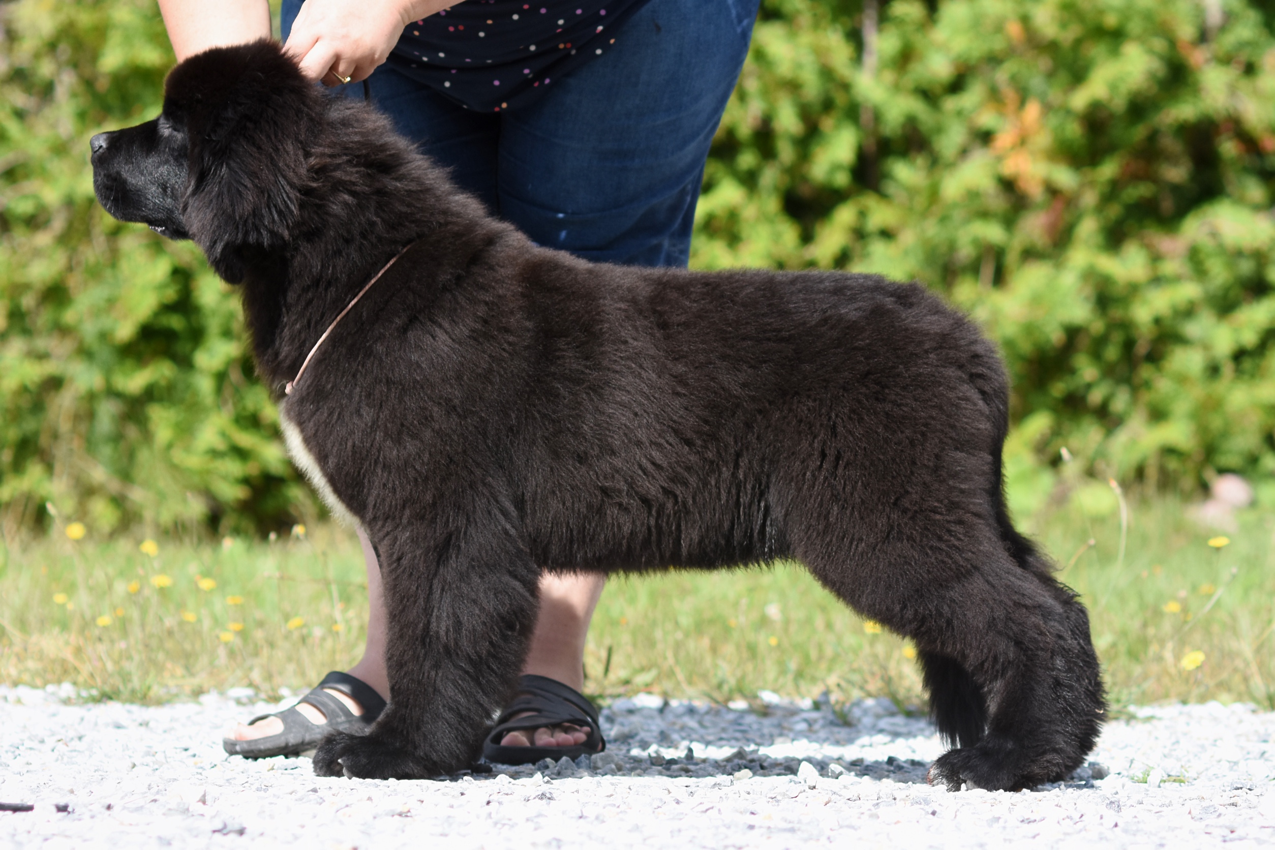 E7CDF832-80E3-4549-AAE1-F7451B0FD3A1