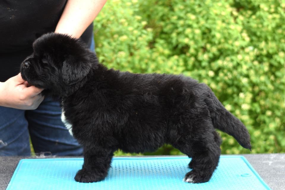 ED835D39-1B4E-4215-B44A-926EB46B0C47